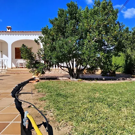 Milvaques دينايا