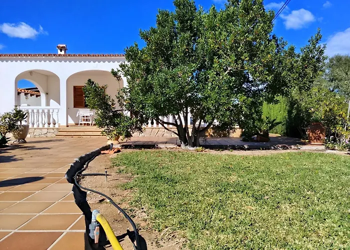 Milvaques دينايا